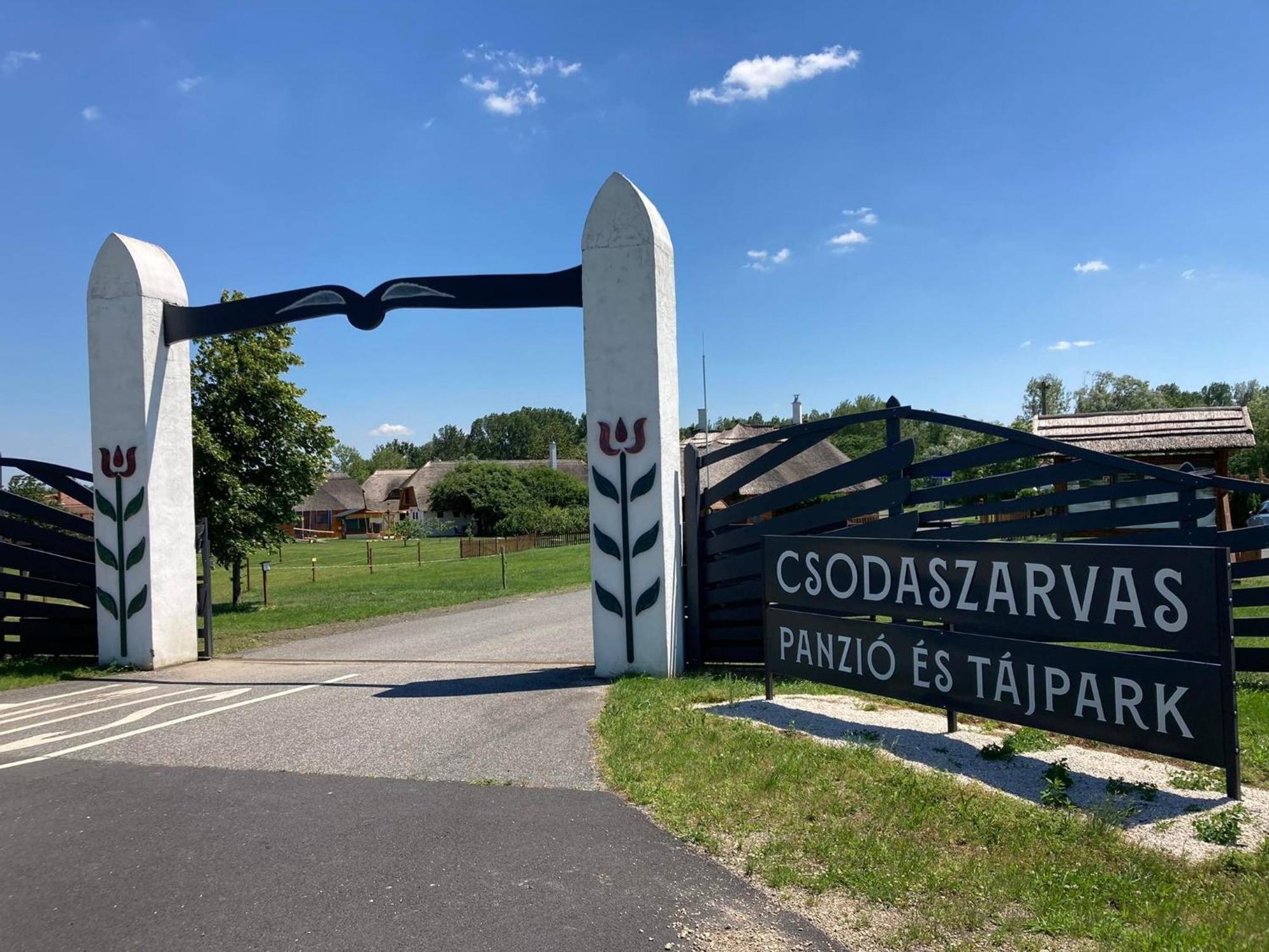 Csodaszarvas Vendeghazak Rabahidveg Luaran gambar